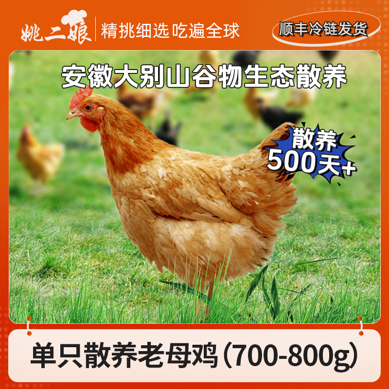 姚二娘散养500天以上黄油老母鸡(700g-800g)大别山土鸡煲汤鲜美