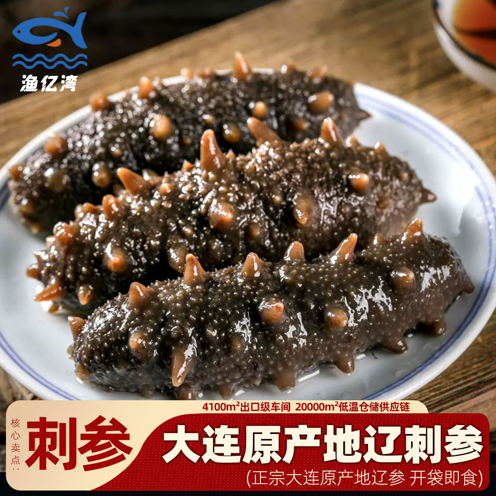 【无污染海域】渔亿湾冷冻大连即食海参刺参500g珍品大连原产地发货