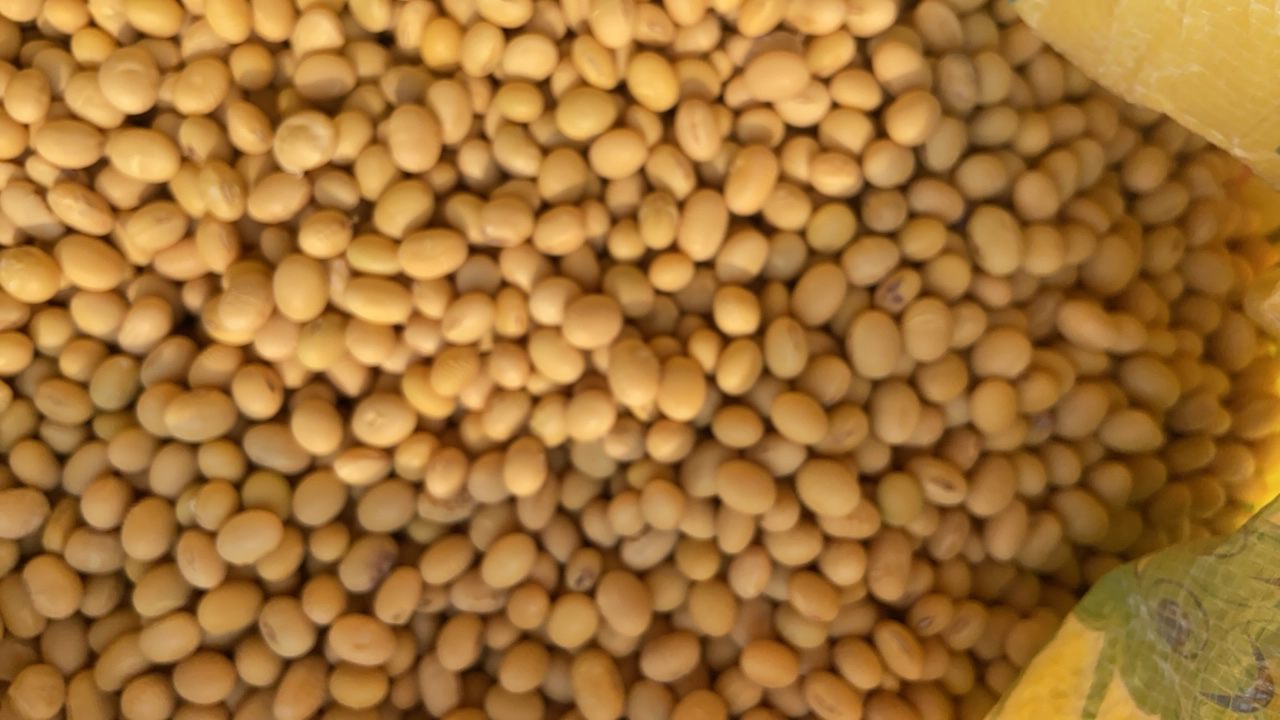 王小玮家的土黄豆酱