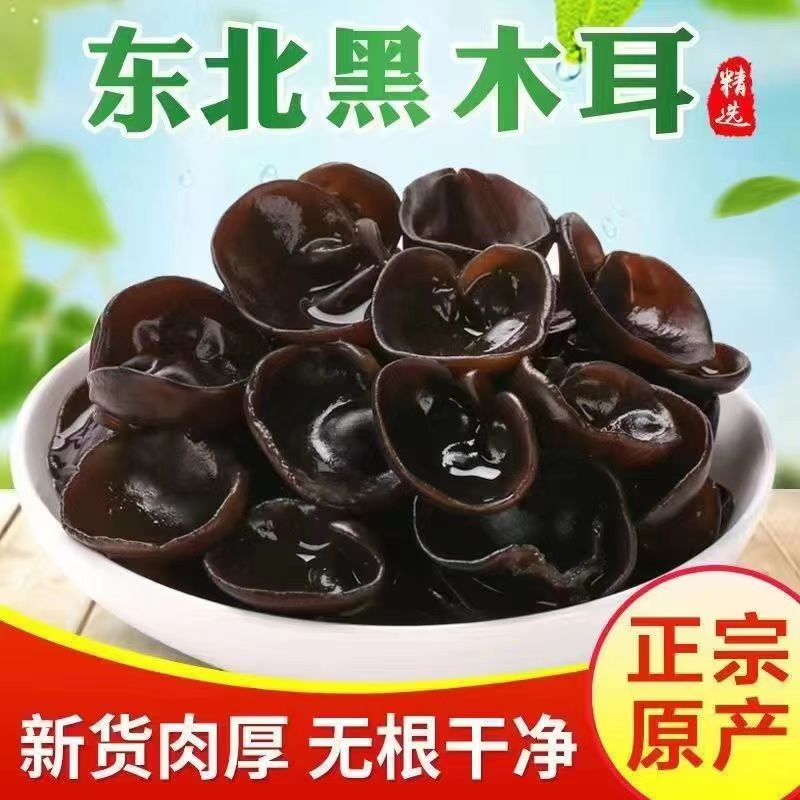 吉林长白山食用深山木耳推荐优质精选产地直销250克野生菌礼盒