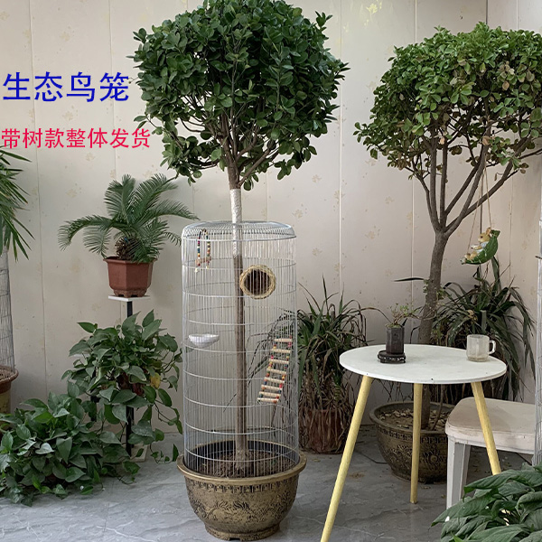 生态鸟笼带树发货 整体镀锌颜色 表面带防腐层