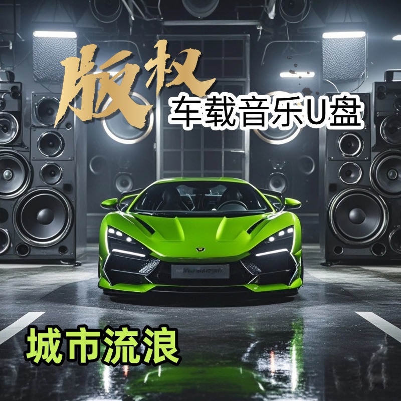 2025火遍网络流行新歌车载MP3/4音乐U盘抖音网红热门神曲高音质优