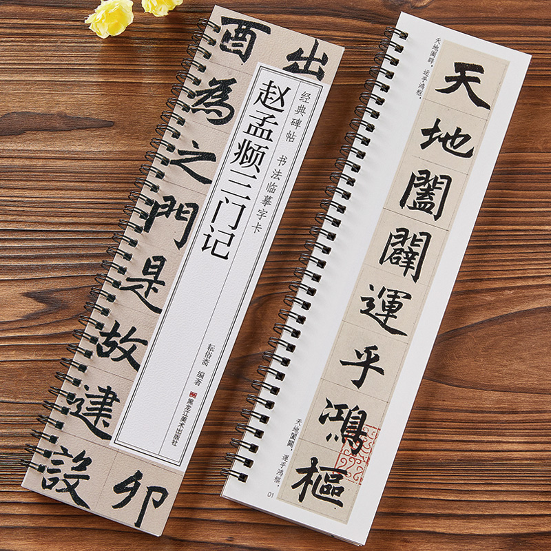 赵孟頫三门记 经典碑帖近距离书法临摹字卡 原碑原大版全文成人初
