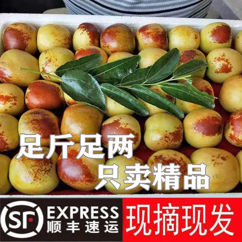 【顺丰京东送货上门】陕西大荔冬枣现摘新鲜脆甜冬枣水果净重2/5斤