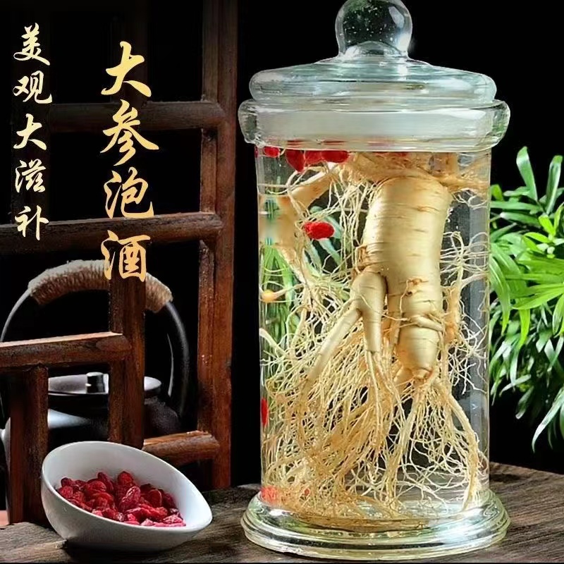 单支克重50g左右（4支装泡酒大参）长白山人参 鲜参滋补