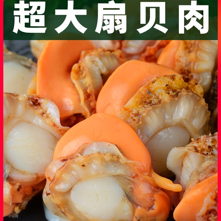【新】特大扇贝肉200g*10 冷冻新鲜海鲜水产带黄当季捞汁爆炒