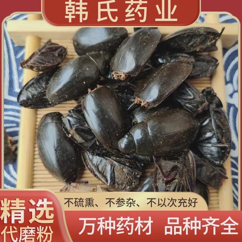 龙虱中药材克新货包邮龙虱水龟子龙虱正品水鳖虫射尿龟