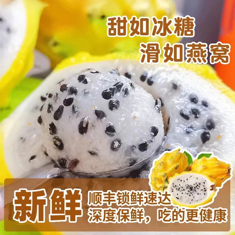 【4斤大果】【顺丰速运】海南燕窝果新鲜水果礼盒麒麟果黄火龙果