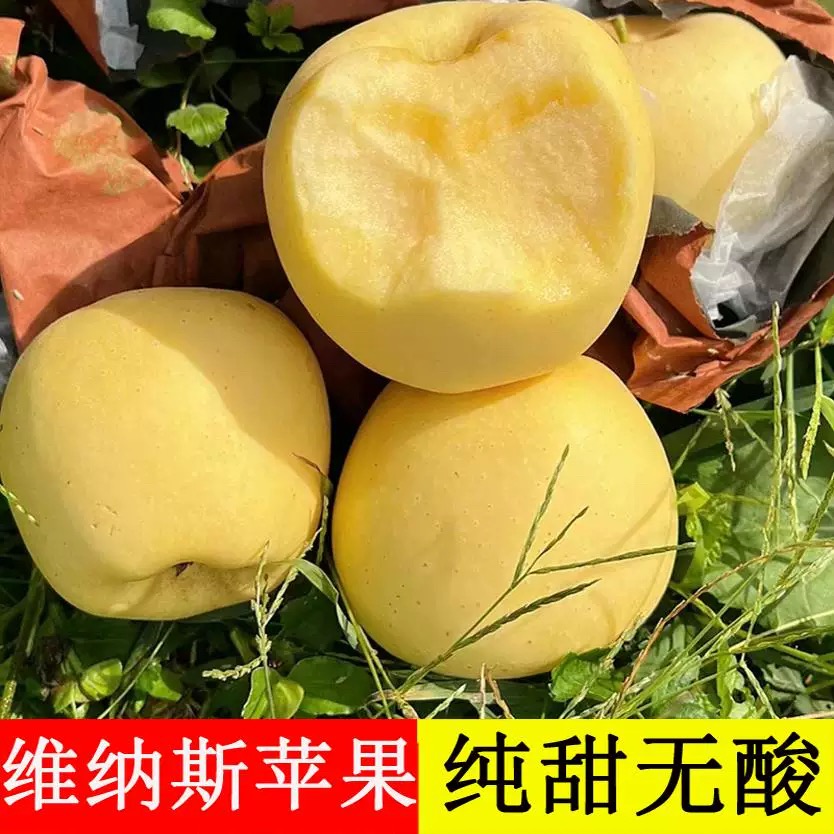 山东维纳斯黄金苹果当季整箱新鲜水果脆甜多汁奶油富士糖心丑苹果