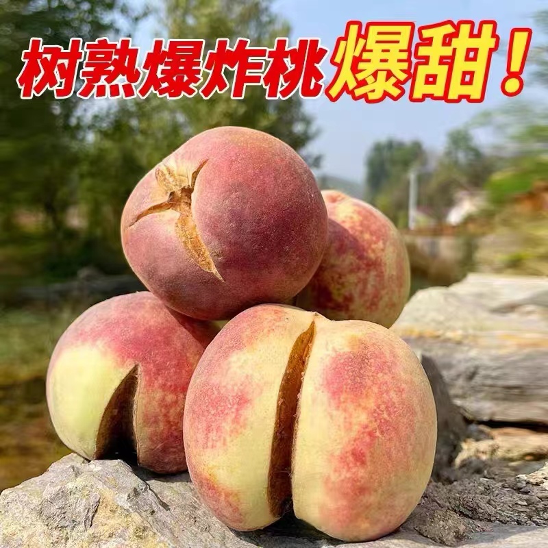 山东丑桃裂口桃子冬桃爆炸桃蜜桃脆桃新鲜水果脆甜多汁沂蒙山晚桃