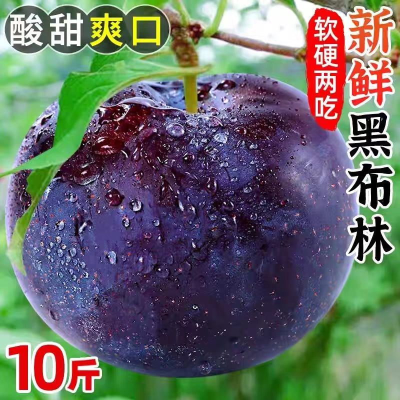 新鲜黑布林李子10斤水果脆李黑金刚恐龙蛋孕妇蜂糖应当季整箱包邮
