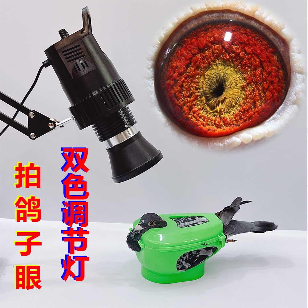 鸽子拍照射灯信鸽拍摄神器赛鸽眼砂瞳孔缩小鸽眼拍照放大镜强光灯