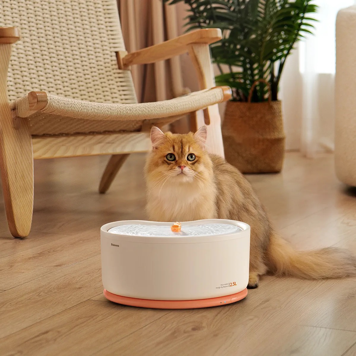 D778# 倍思宠物猫咪饮水机无线感应喝水器喂食猫狗包装礼盒套装