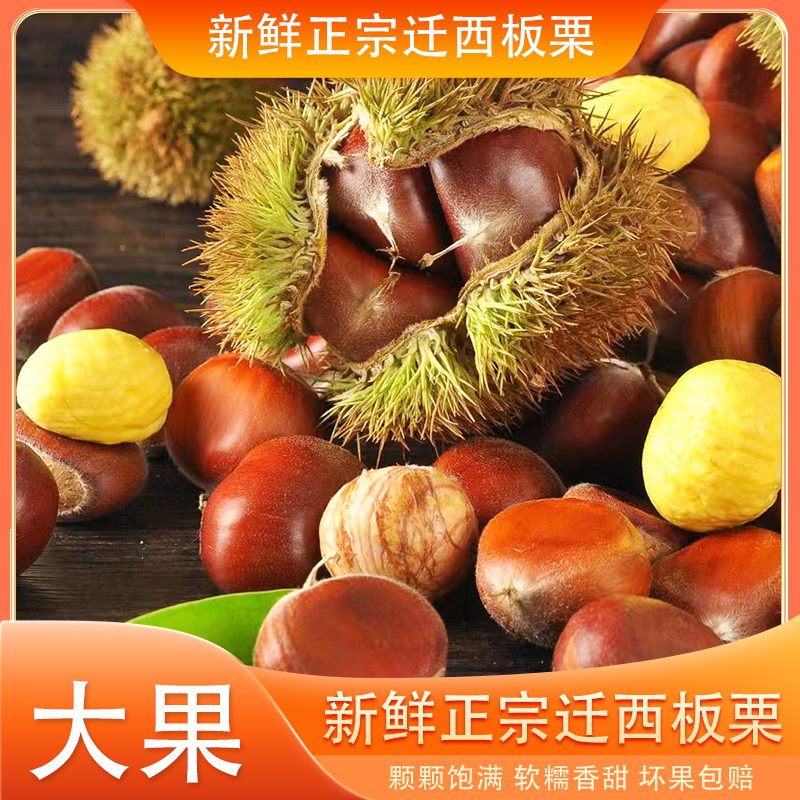 正宗迁西板栗大果2025年新下树新鲜板栗生板栗油栗精选大果