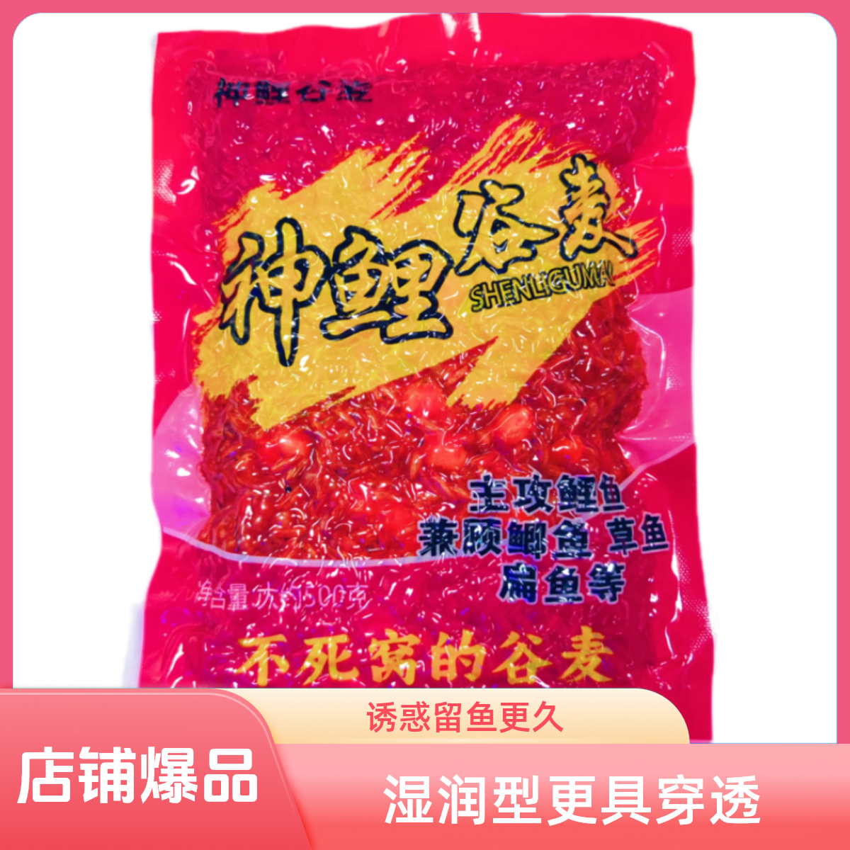 【川总直播福利】神鲤谷麦窝料 野钓水库河流