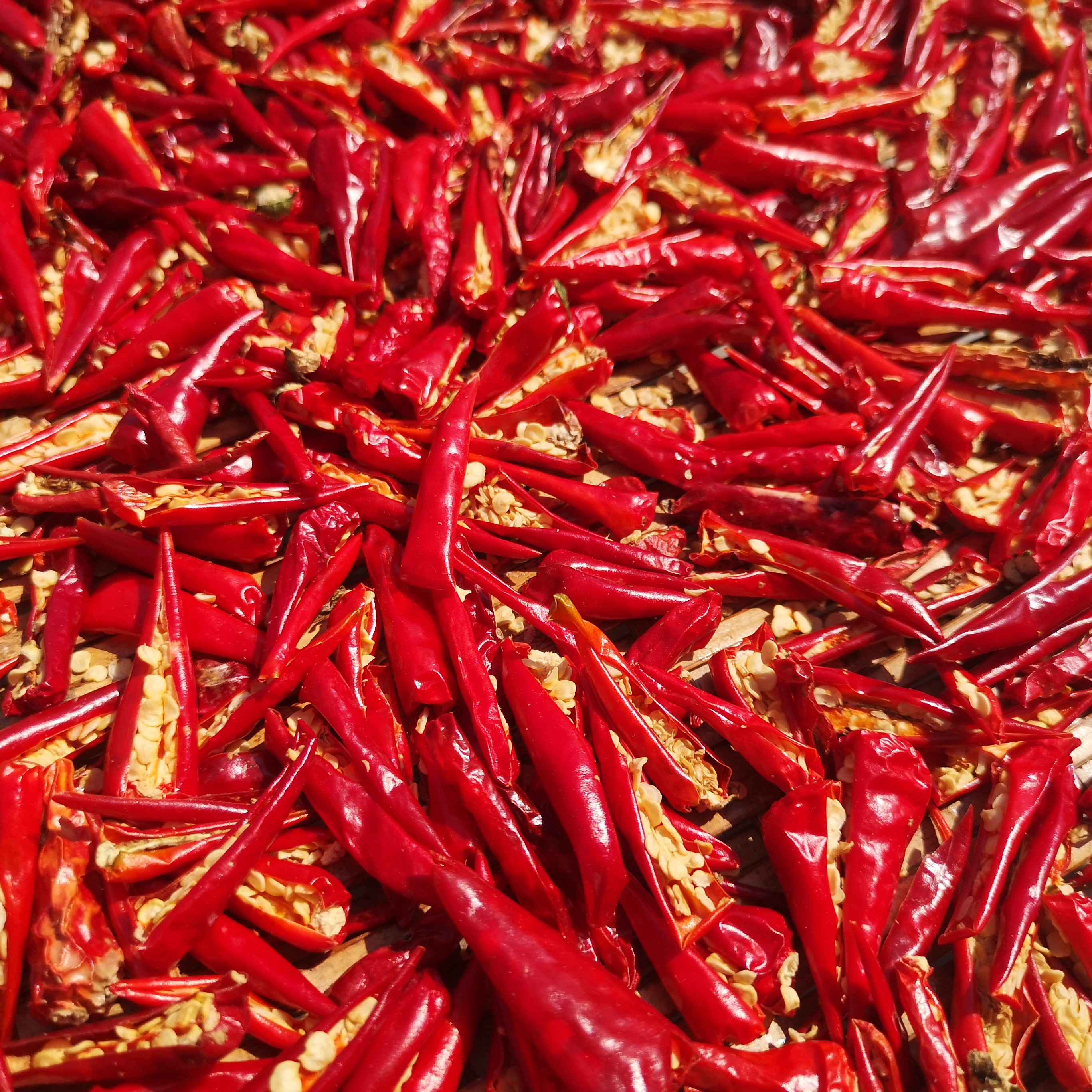 农户家自己晒得辣椒250g*2罐