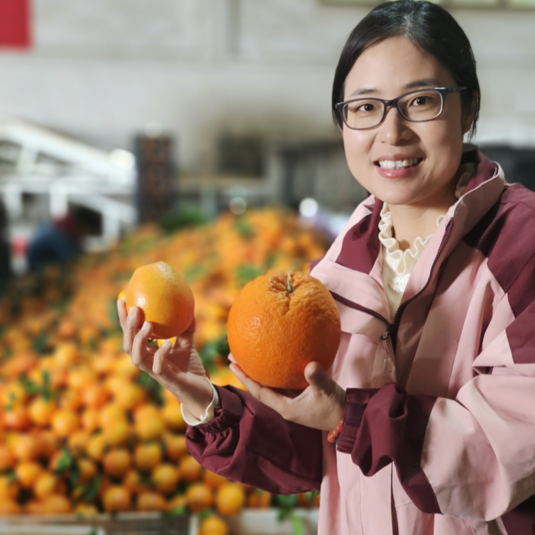 娟姐精选赣南脐橙