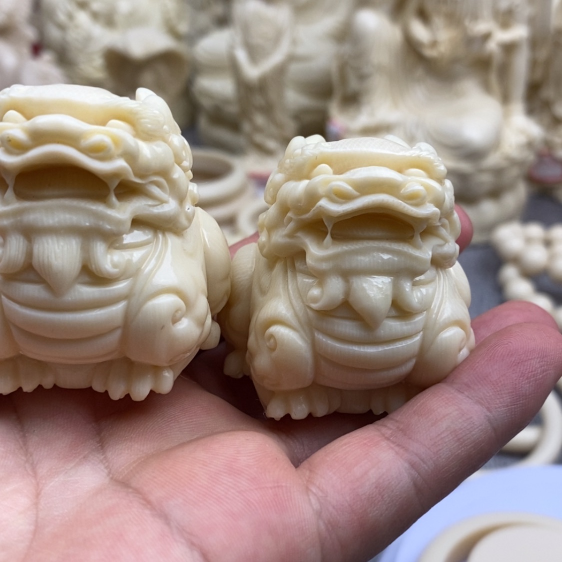 【闪购商品】红贵宝章*生皮丘一对