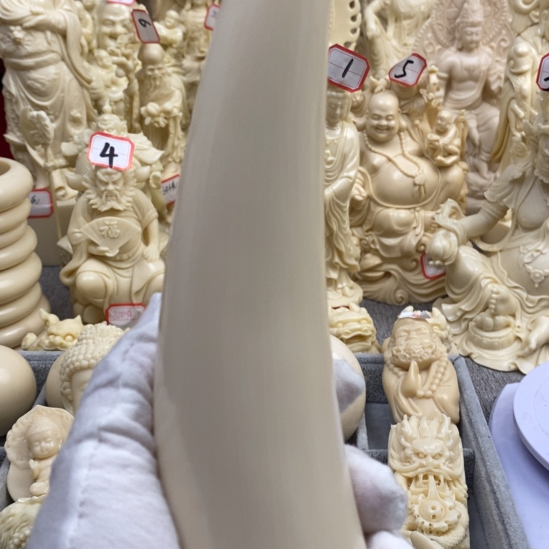 【闪购商品】红贵宝猛犸尖尖