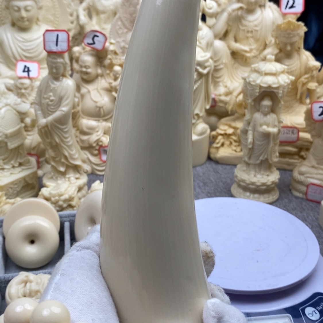 【闪购商品】红贵宝猛犸尖尖