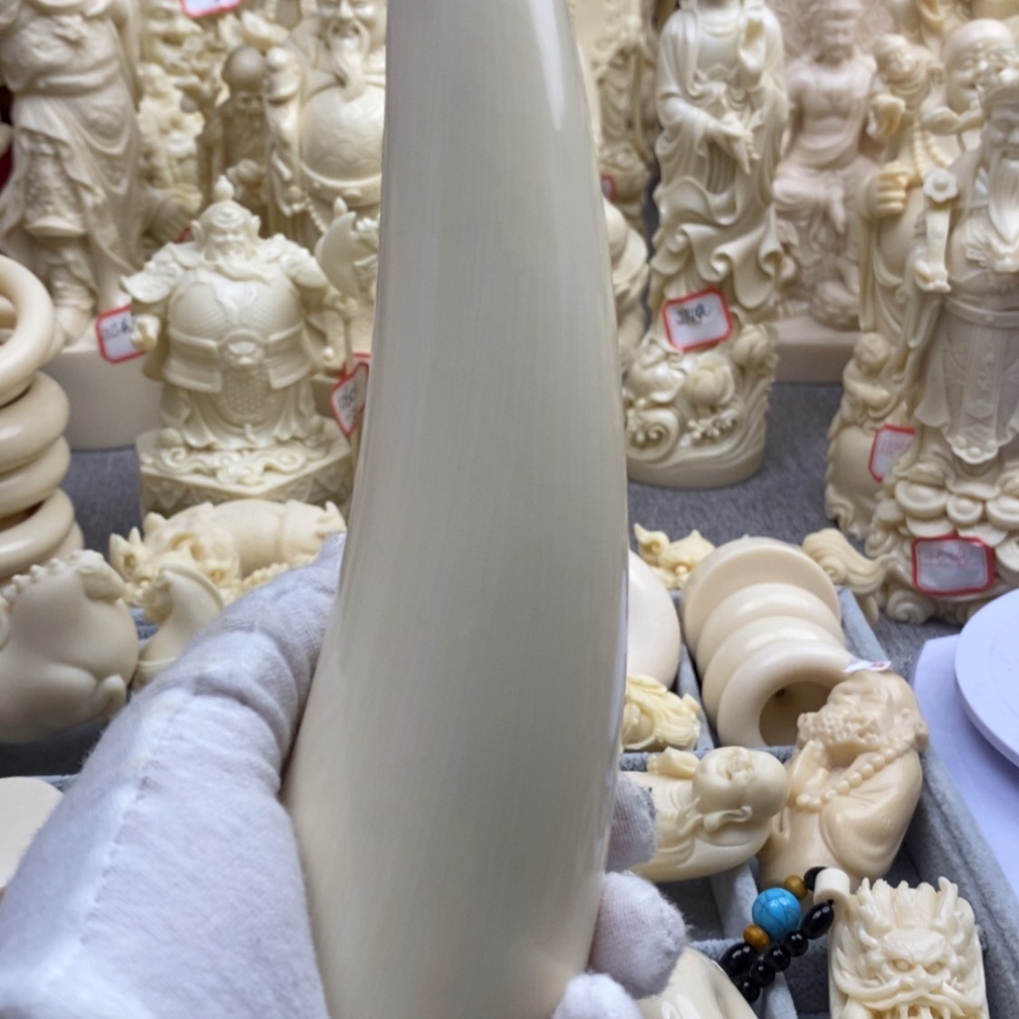 【闪购商品】红贵宝猛犸尖尖