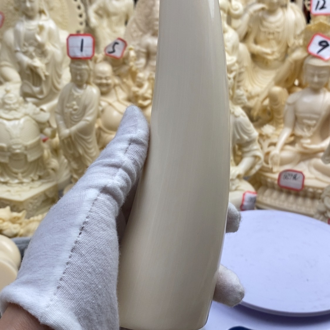 【闪购商品】红贵宝猛犸尖尖
