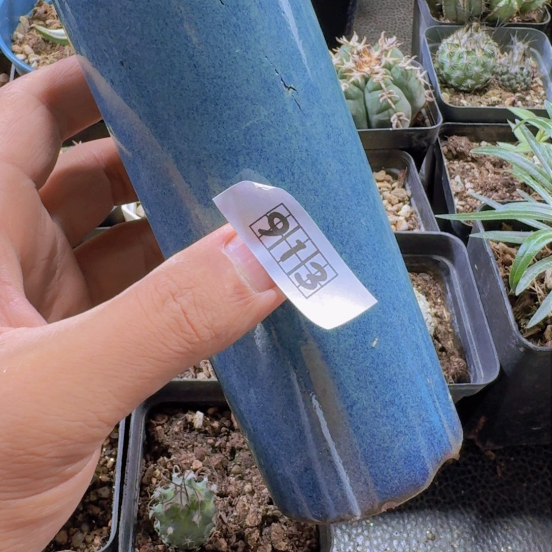 心913花盆开裂包好一些