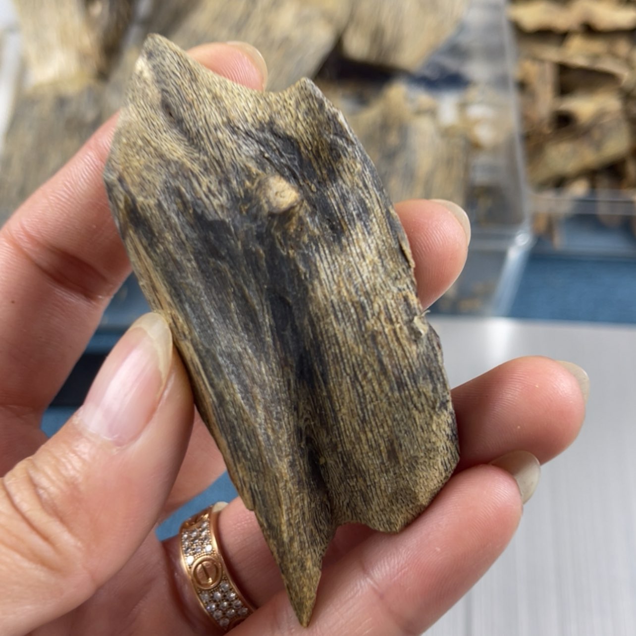 【闪购商品】1树脂制品