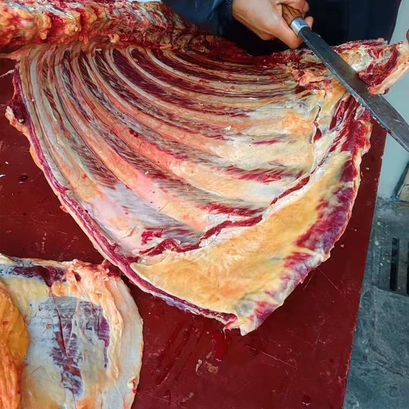 土黄牛牛排骨  手抓排骨清炖卤红烧 土黄牛牛排新鲜屠宰无注水