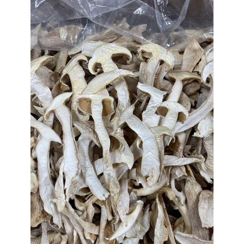 精选云南香格里拉白松茸片煲汤味道鲜美深山高山美味