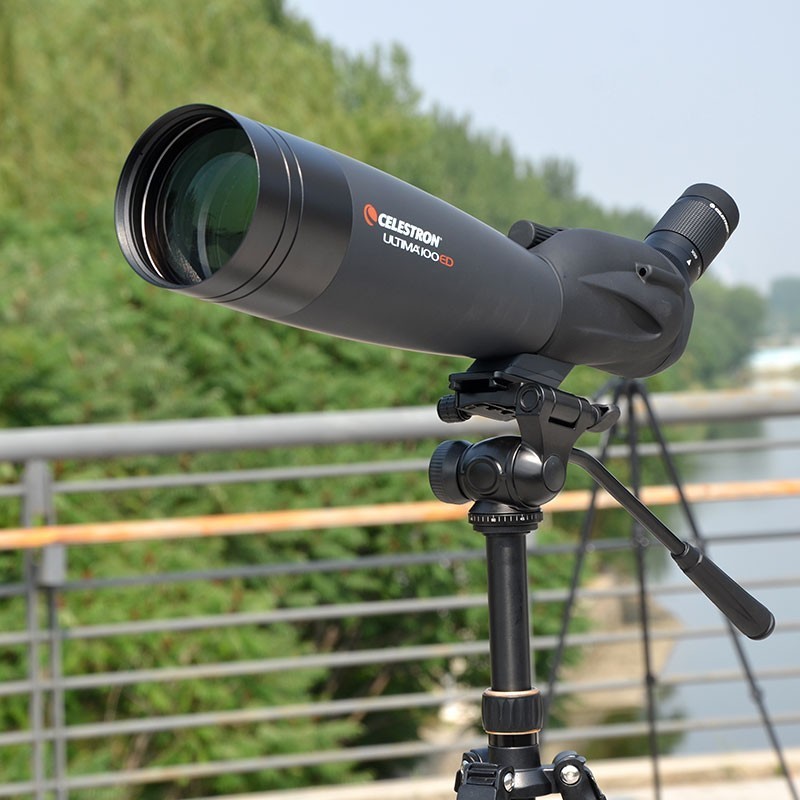 美国星特朗远方 22-66×100AED单筒望远镜观鸟镜望远镜防水消色差