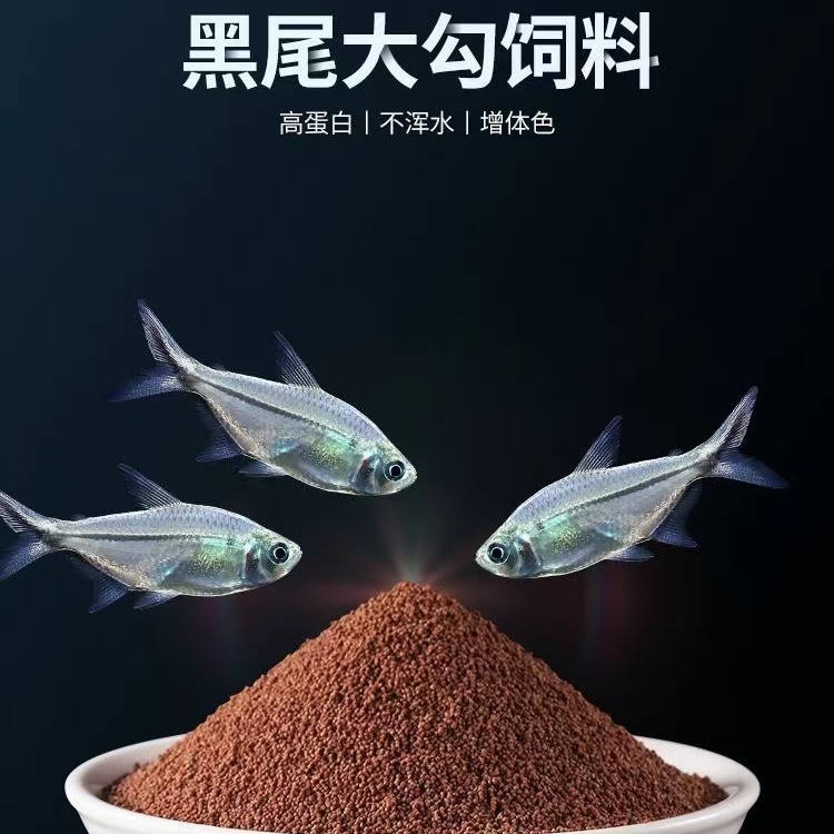 黑尾大勾鱼饲料小颗粒不浑水小型鱼漂浮通用型蛋白鱼粮鱼食缓沉