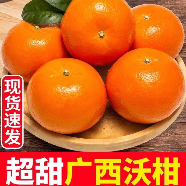 【新店半价】广西武鸣沃柑1/5/9斤新鲜水果当季整箱蜜橘砂糖柑橘子