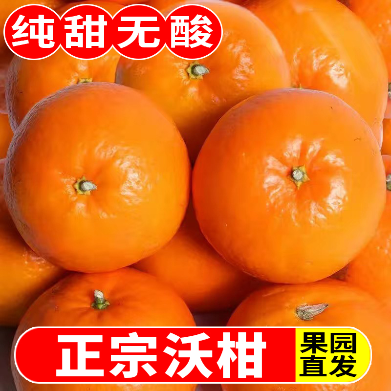 【超低价】正宗沃柑精选应季新鲜现摘水果砂糖橙子蜜桔子柑橘皮薄