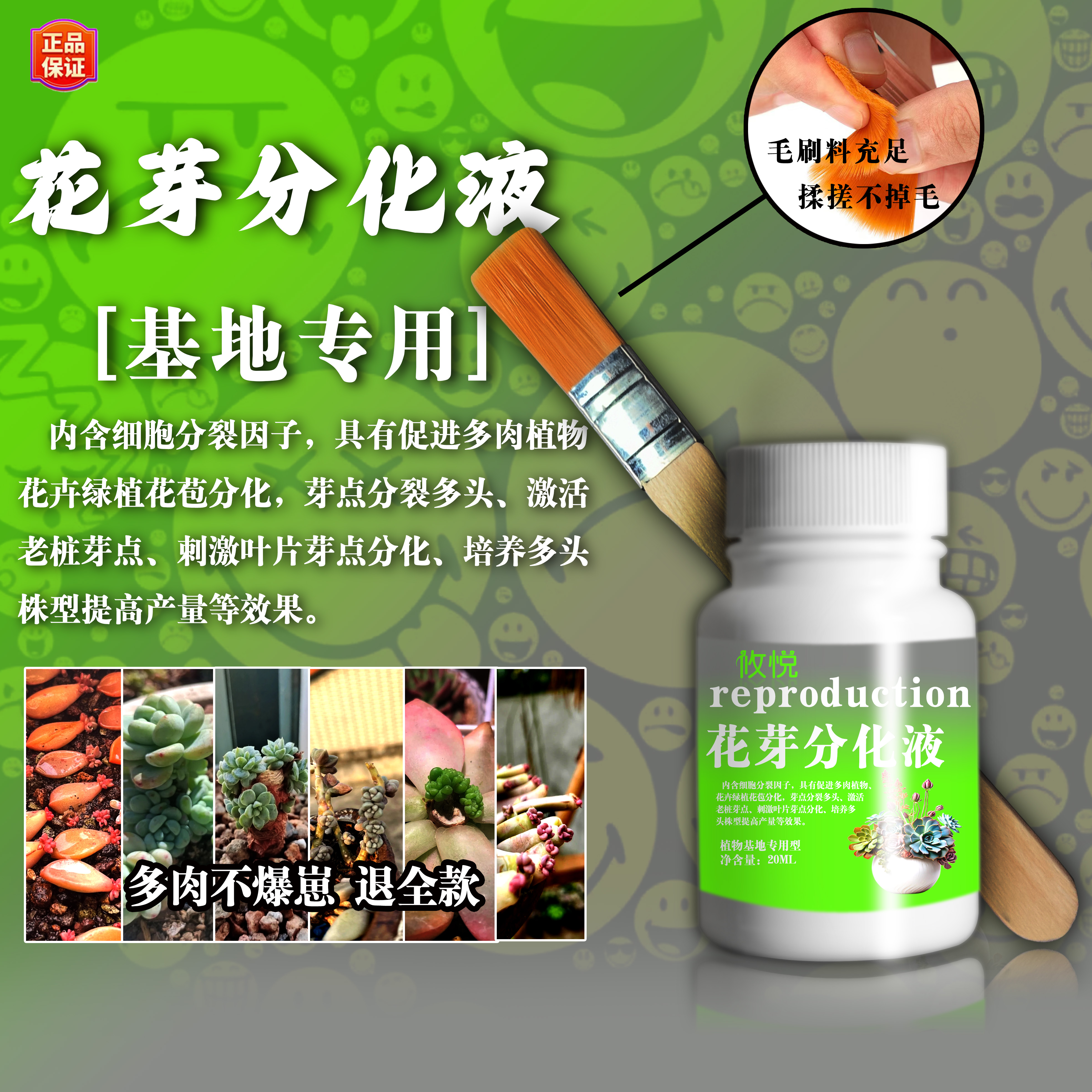 【不爆崽崽退全款】多肉绿植鲜花专用花芽分化液基地款