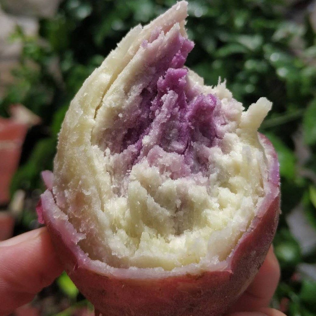 茂名冰淇淋番薯板栗红薯新鲜现挖地瓜粉香糯甜2/5/9斤农产品香甜