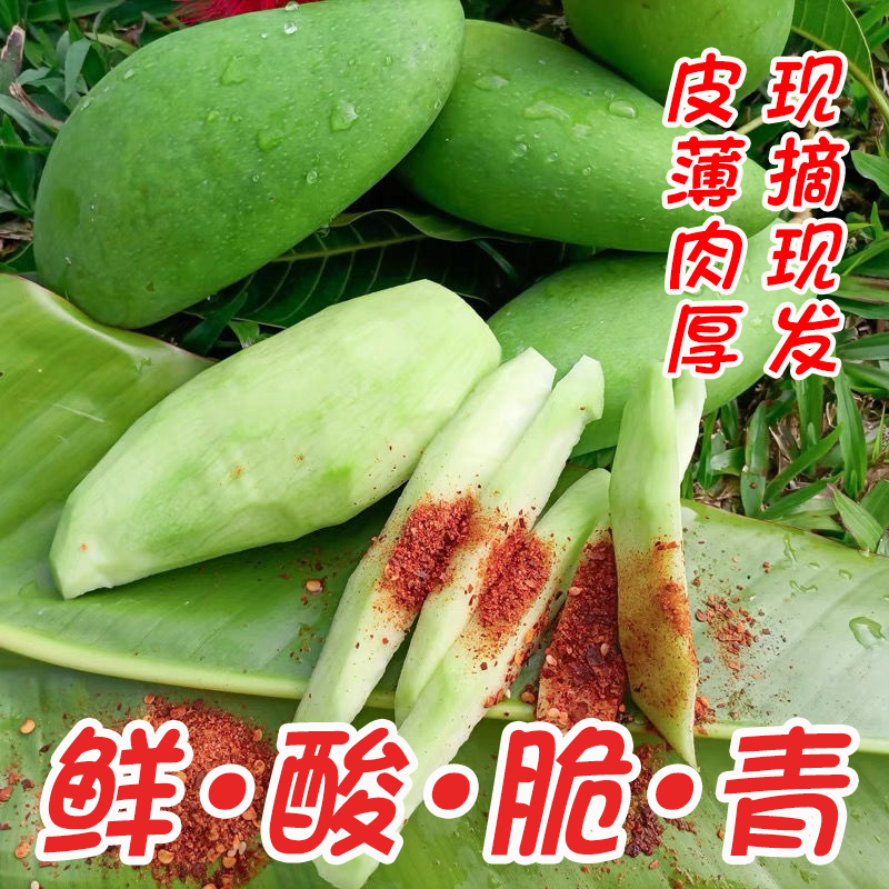 保生吃酸芒果酸广西四季芒海南象牙芒青芒现摘新鲜水果酸野