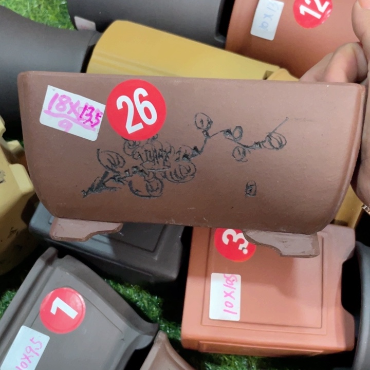 紫砂20CM（含）-50CM（不含）