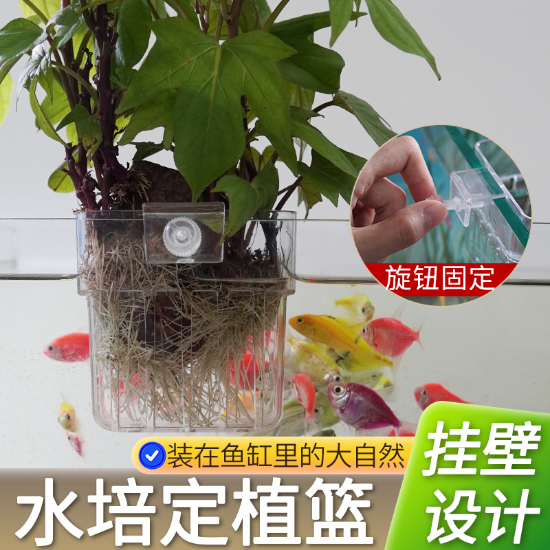 【水培植物养鱼赏花】鱼缸水草种植杯鱼缸造景装饰旋钮壁挂式XL