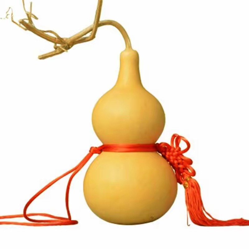 天然生长小葫芦，