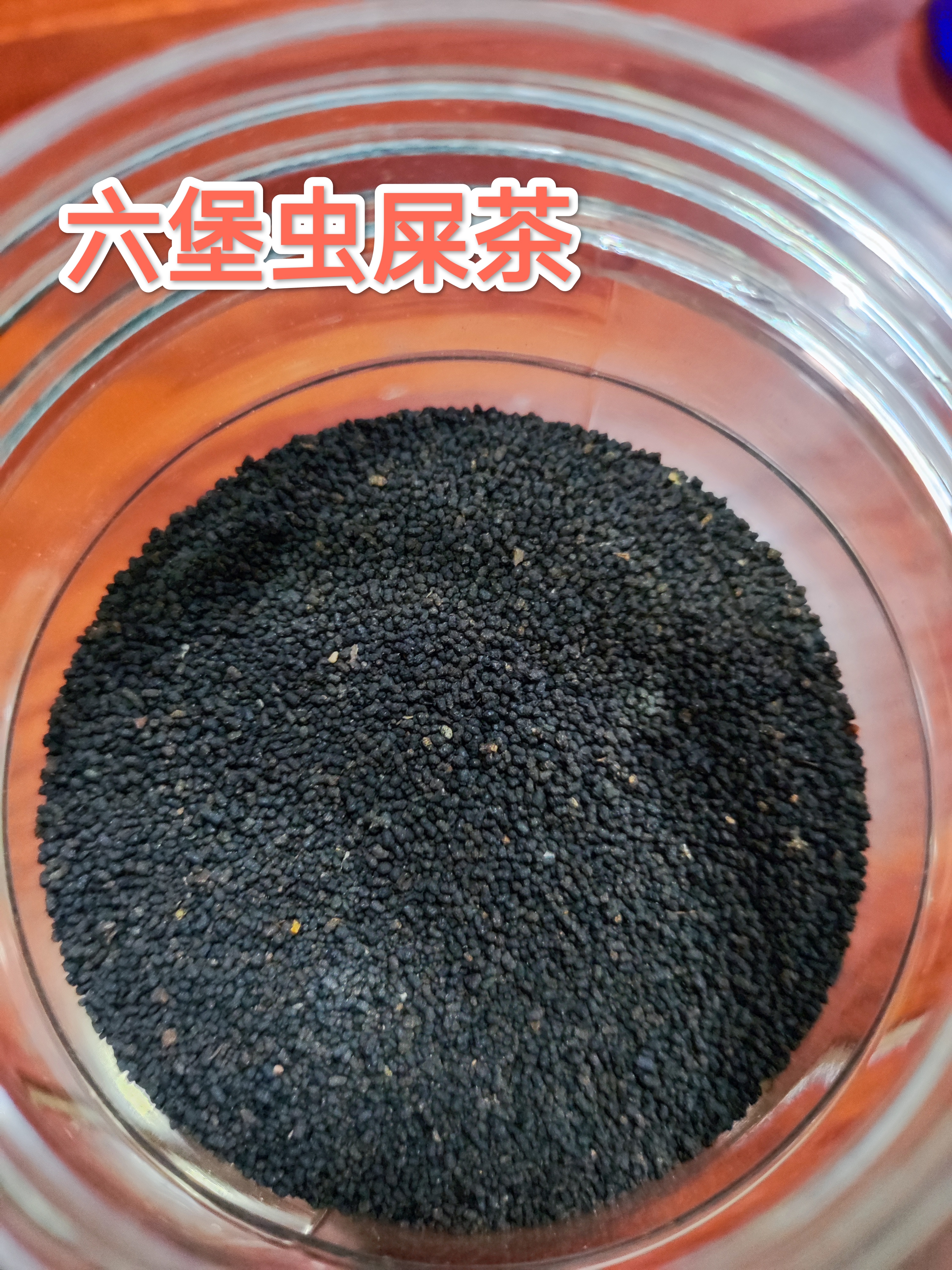 ［六堡茶］虫屎茶 绵厚丝滑 药香十足
