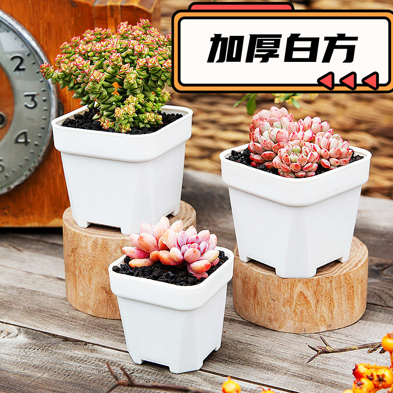 【加厚-方盆】小白方加厚多肉花盆塑料花盆白方盆简约大号超大精品