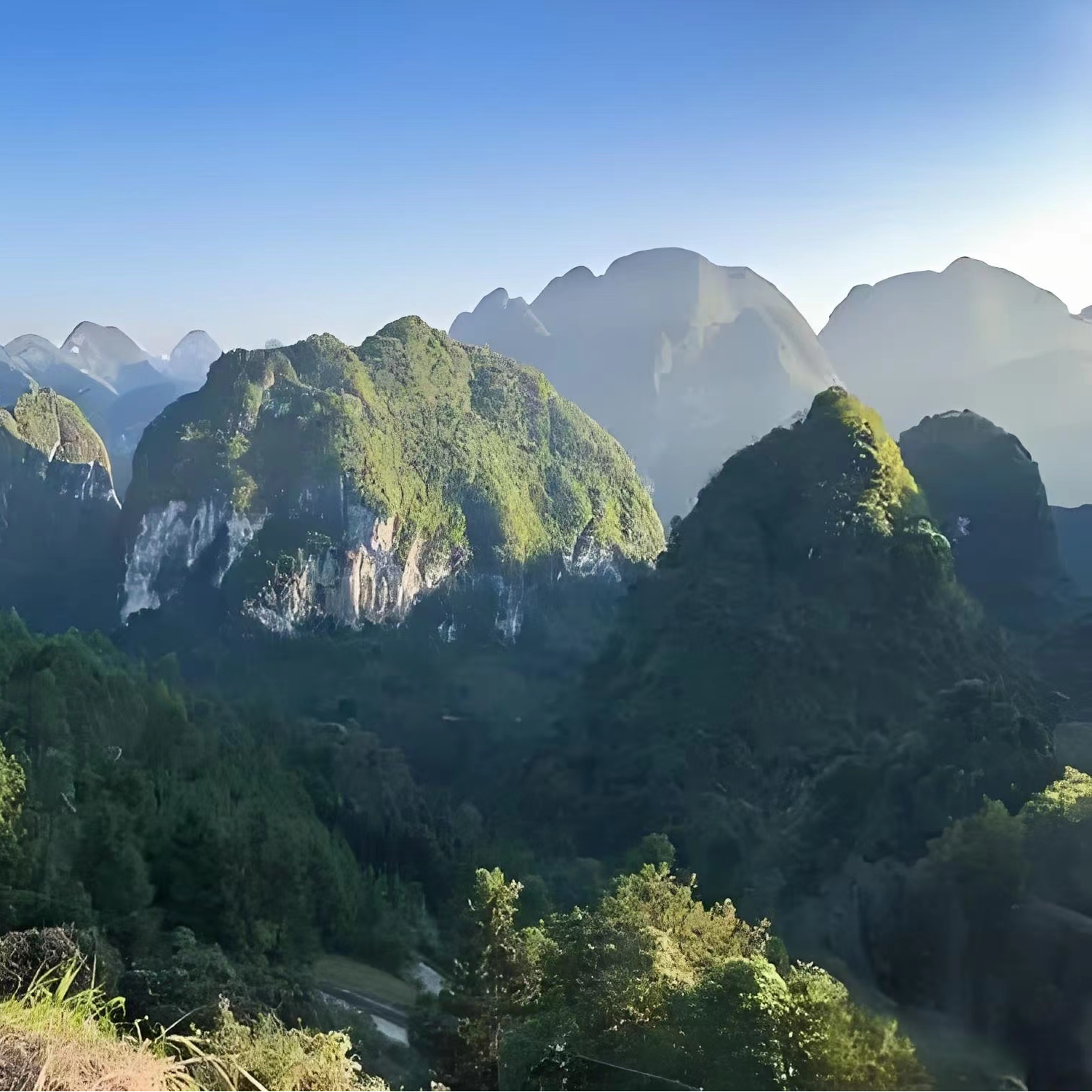 【一物一拍】绿植花卉室内外种植