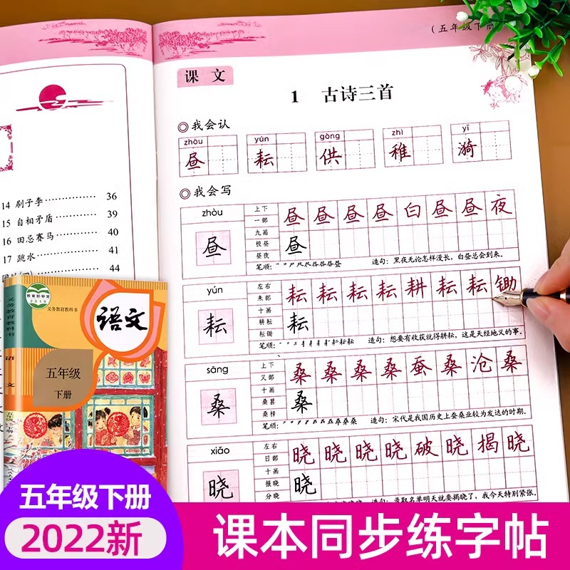 五年级下册语文同步字帖 练字帖人教版部编版小学生练字帖