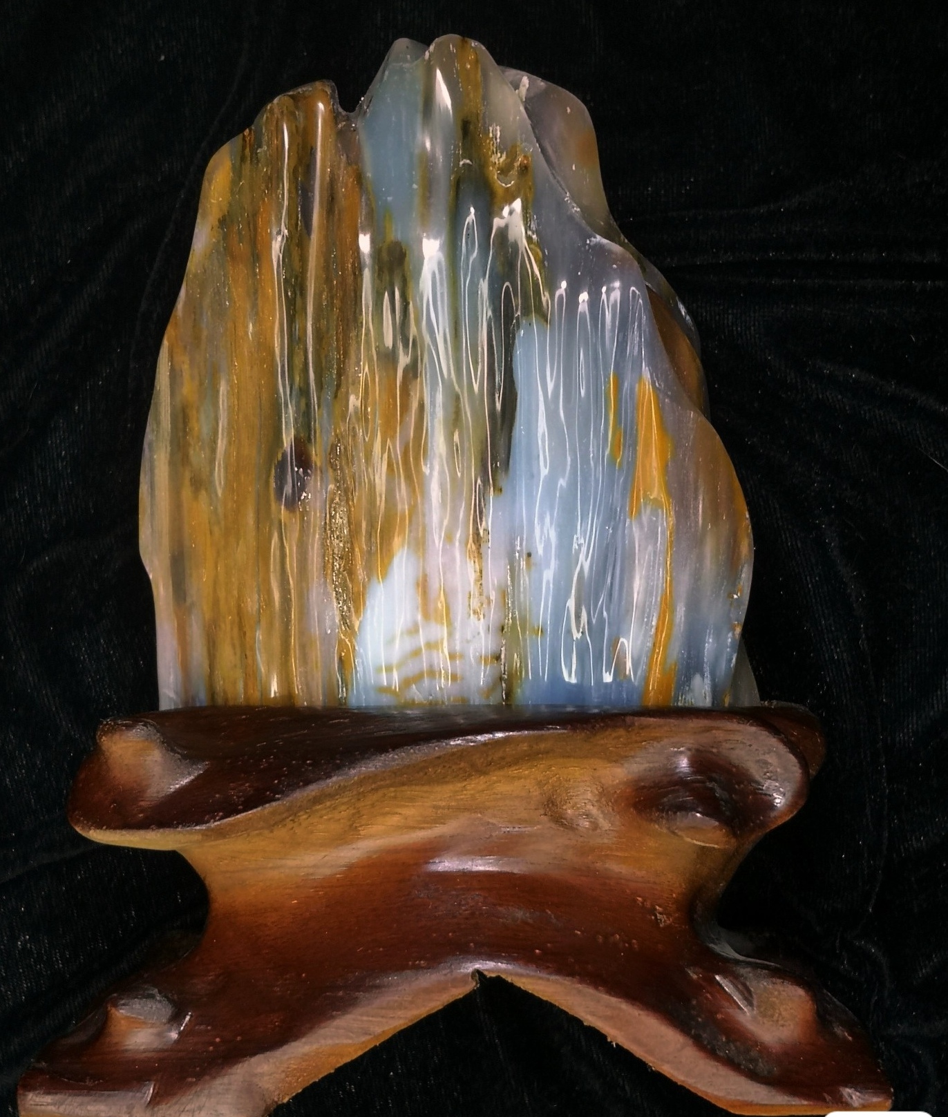 带年轮冰种缅甸树化玉！非常冰透晶莹！