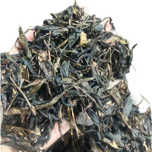 乌岽老丛茶(茶头)好喝不好看口粮茶凤凰新茶叶单丛茶