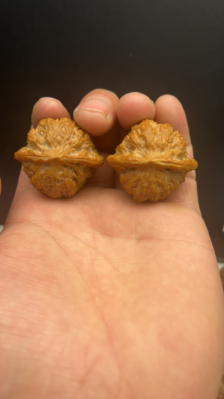 文玩核桃野生小种