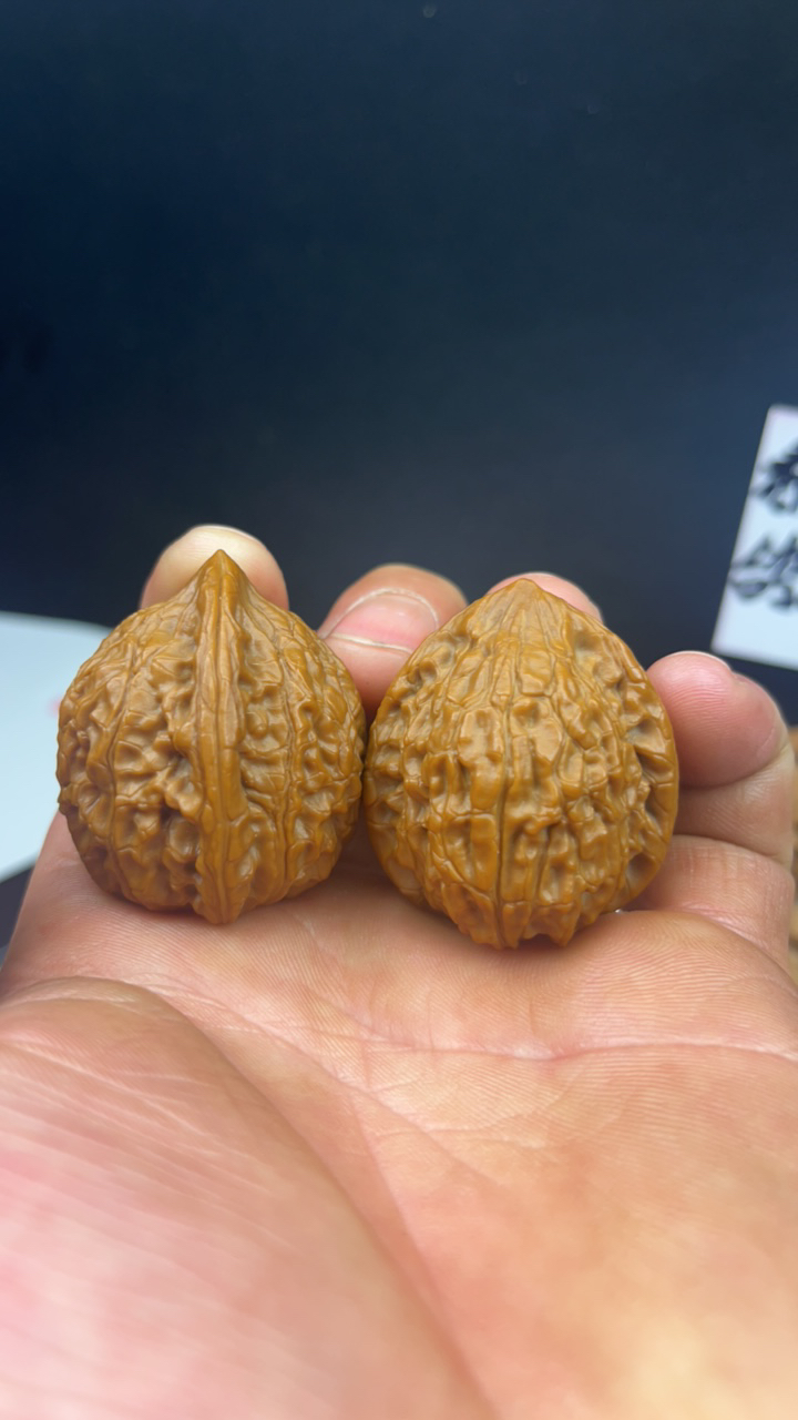 野生小手捻深山小核桃秋核桃迷你配对精油性足