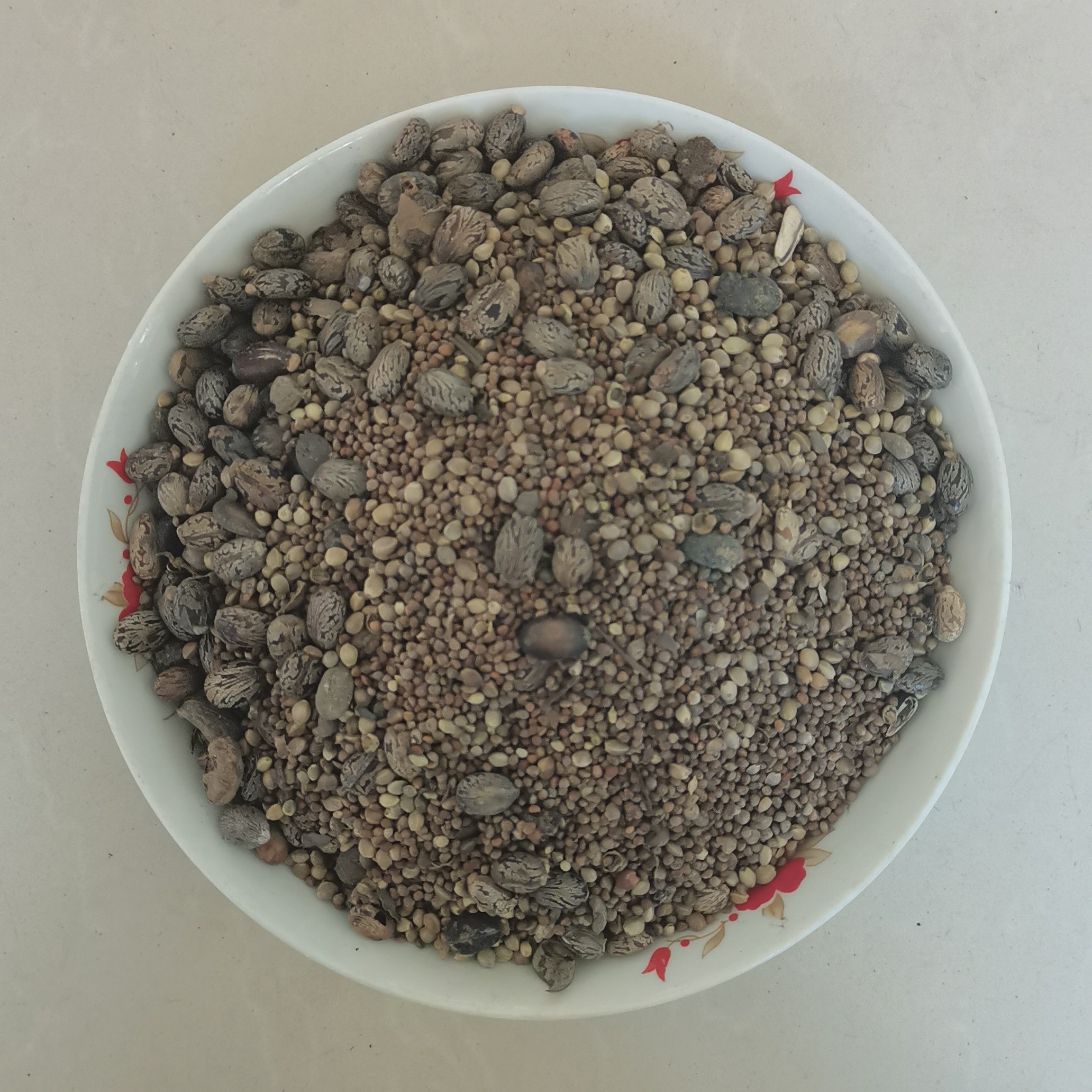 君子兰花卉绿植肥料