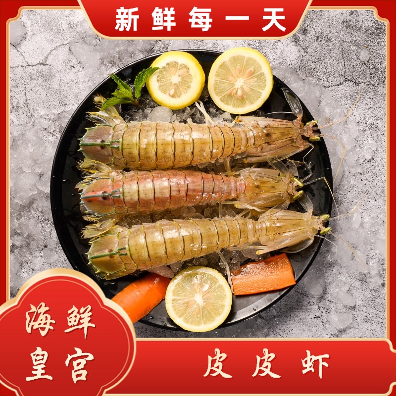 【海鲜皇宫】渤海湾皮皮虾 虾爬子2-6斤